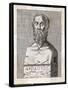 Herodotus Greek Historian-null-Framed Stretched Canvas