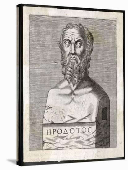 Herodotus Greek Historian-null-Stretched Canvas