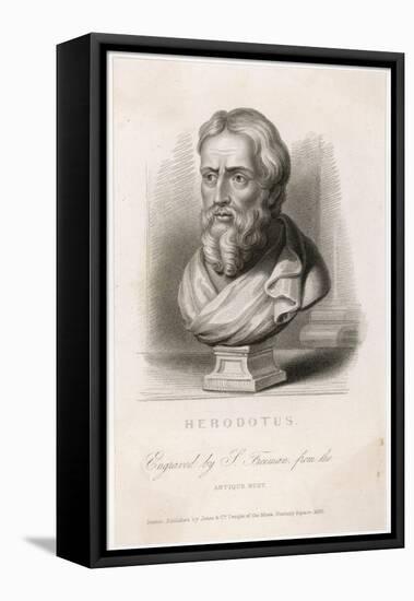 Herodotus Greek Historian-S. Freeman-Framed Stretched Canvas