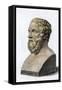 Herodotus, the Father of History-null-Framed Stretched Canvas