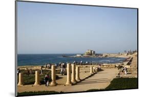 Herods Palace Ruins and the Hippodrome, Caesarea, Israel, Middle East-Yadid Levy-Mounted Photographic Print