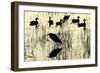 Heron and Ducks, Loxahatchee NWR, Everglades, Florida-Rob Sheppard-Framed Photographic Print