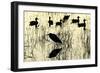 Heron and Ducks, Loxahatchee NWR, Everglades, Florida-Rob Sheppard-Framed Photographic Print