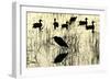 Heron and Ducks, Loxahatchee NWR, Everglades, Florida-Rob Sheppard-Framed Photographic Print