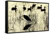 Heron and Ducks, Loxahatchee NWR, Everglades, Florida-Rob Sheppard-Framed Stretched Canvas