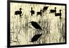 Heron and Ducks, Loxahatchee NWR, Everglades, Florida-Rob Sheppard-Framed Photographic Print