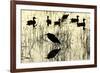 Heron and Ducks, Loxahatchee NWR, Everglades, Florida-Rob Sheppard-Framed Photographic Print