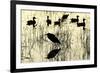 Heron and Ducks, Loxahatchee NWR, Everglades, Florida-Rob Sheppard-Framed Photographic Print