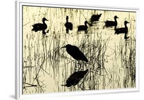 Heron and Ducks, Loxahatchee NWR, Everglades, Florida-Rob Sheppard-Framed Premium Photographic Print