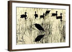 Heron and Ducks, Loxahatchee NWR, Everglades, Florida-Rob Sheppard-Framed Photographic Print