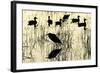 Heron and Ducks, Loxahatchee NWR, Everglades, Florida-Rob Sheppard-Framed Photographic Print