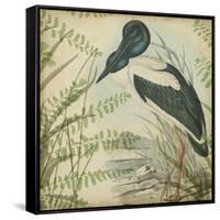 Heron and Ferns I-Vision Studio-Framed Stretched Canvas