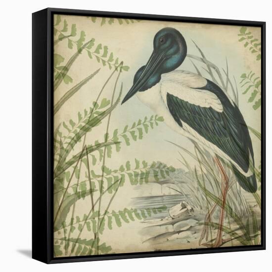 Heron and Ferns I-Vision Studio-Framed Stretched Canvas