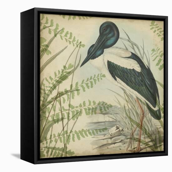 Heron and Ferns I-Vision Studio-Framed Stretched Canvas