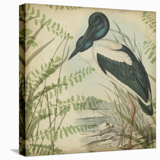 Heron and Ferns I-Vision Studio-Stretched Canvas