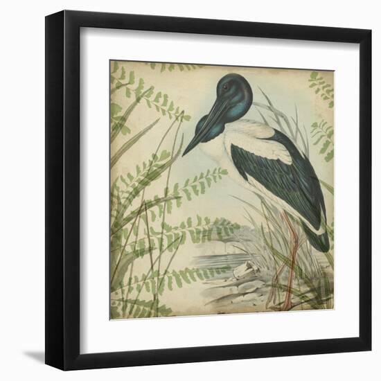 Heron and Ferns I-Vision Studio-Framed Art Print