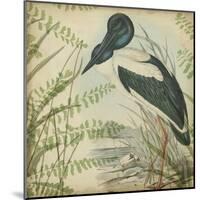 Heron and Ferns I-Vision Studio-Mounted Art Print