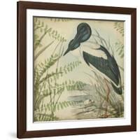 Heron and Ferns I-Vision Studio-Framed Art Print