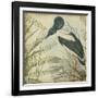 Heron and Ferns I-Vision Studio-Framed Art Print