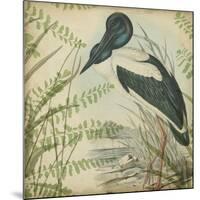 Heron and Ferns I-Vision Studio-Mounted Art Print