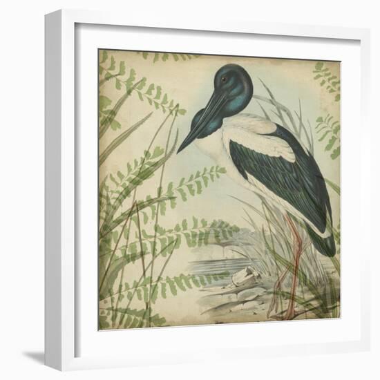 Heron and Ferns I-Vision Studio-Framed Art Print