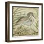 Heron and Ferns II-Vision Studio-Framed Art Print