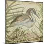 Heron and Ferns II-Vision Studio-Mounted Art Print