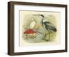 Heron and Ibis-null-Framed Art Print