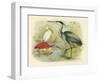 Heron and Ibis-null-Framed Art Print