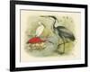 Heron and Ibis-null-Framed Art Print