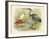 Heron and Ibis-null-Framed Art Print