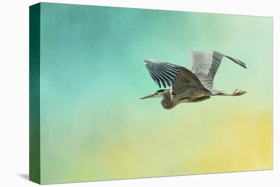 Heron at Sea-Jai Johnson-Stretched Canvas