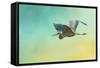 Heron at Sea-Jai Johnson-Framed Stretched Canvas