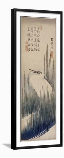 Héron blanc dans les roseaux-Ando Hiroshige-Framed Premium Giclee Print