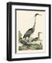 Heron Family I-A. Wilson-Framed Art Print