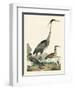 Heron Family I-A. Wilson-Framed Art Print