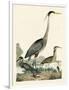 Heron Family I-A. Wilson-Framed Art Print