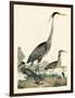 Heron Family I-A. Wilson-Framed Art Print