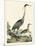 Heron Family I-A. Wilson-Mounted Art Print