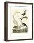 Heron Family II-A^ Wilson-Framed Art Print