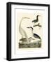 Heron Family II-A^ Wilson-Framed Art Print