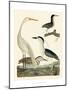 Heron Family II-A^ Wilson-Mounted Art Print