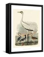 Heron Family III-A^ Wilson-Framed Stretched Canvas