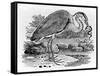 Heron, Illustration from 'A History of British Birds' by Thomas Bewick, First Published 1797-Thomas Bewick-Framed Stretched Canvas