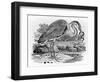 Heron, Illustration from 'A History of British Birds' by Thomas Bewick, First Published 1797-Thomas Bewick-Framed Giclee Print