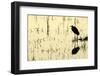 Heron in Loxahatchee National Wildlife Refuge, Everglades, Florida-Rob Sheppard-Framed Photographic Print