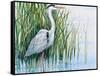 Heron in the Marsh I-Tim OToole-Framed Stretched Canvas