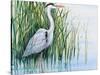 Heron in the Marsh I-Tim OToole-Stretched Canvas