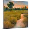 Heron Lake I-Patrick-Mounted Giclee Print