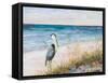 Heron Ocean View-Julie DeRice-Framed Stretched Canvas